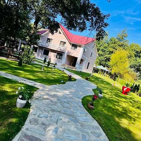 Pensiunea Pink House Runcu Hotel Runcu  Exterior foto